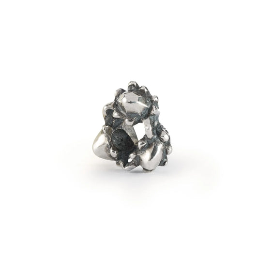 Trollbeads Ghianda dei Sogni