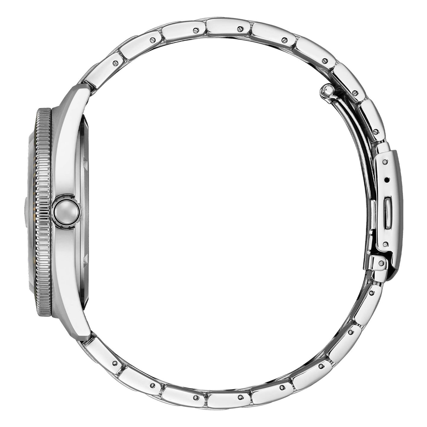 Citizen Marine