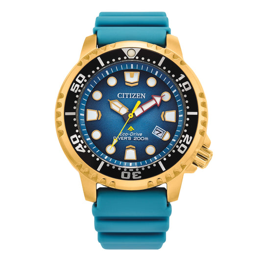 Citizen Diver's Eco Drive 200 mt